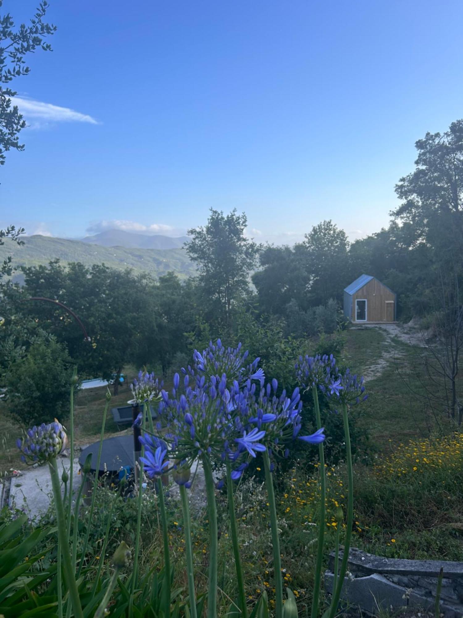 Villa Monkey Tiny Barnhouse With Amazing Views! Folhadosa Exterior foto