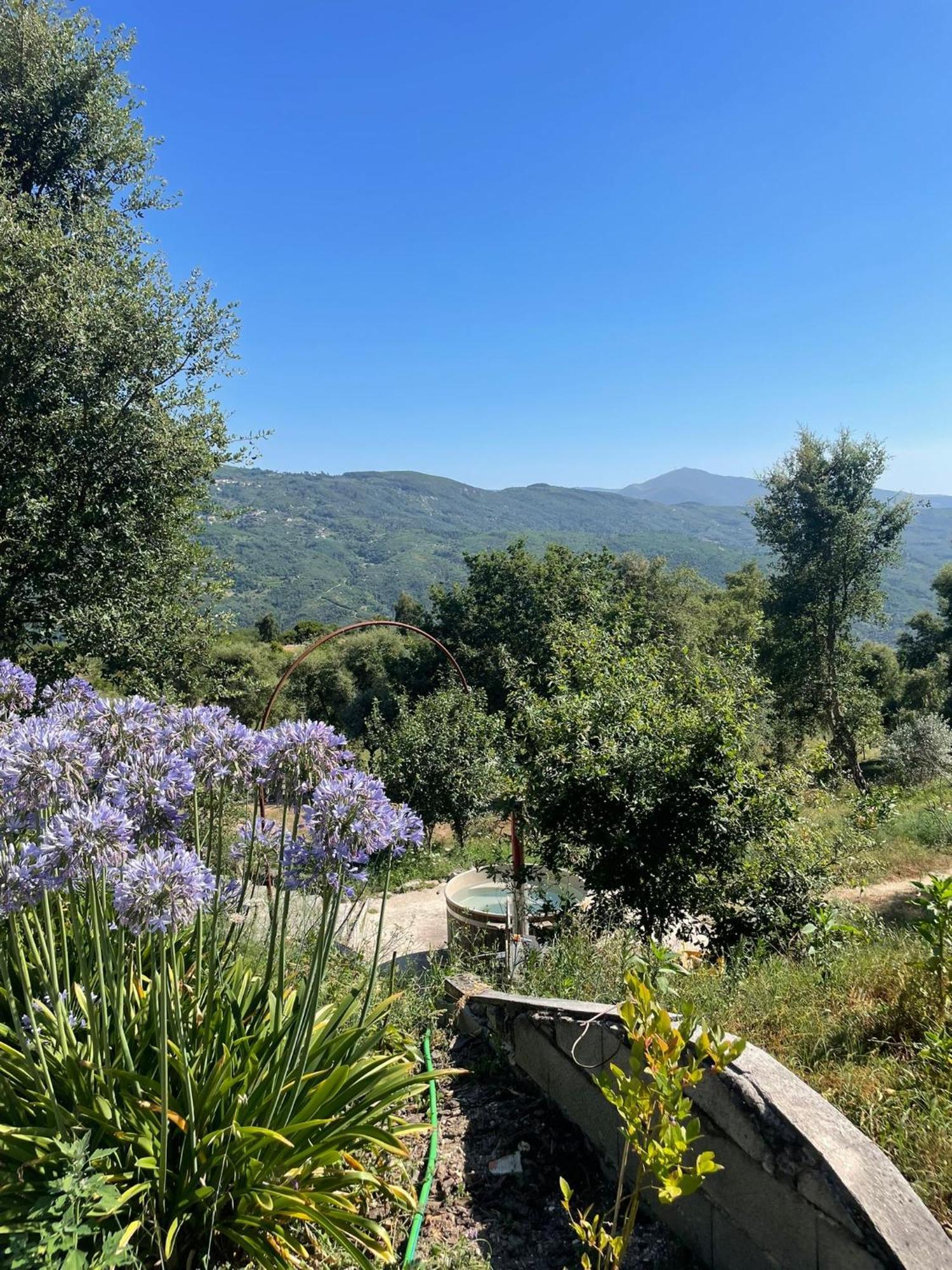 Villa Monkey Tiny Barnhouse With Amazing Views! Folhadosa Exterior foto