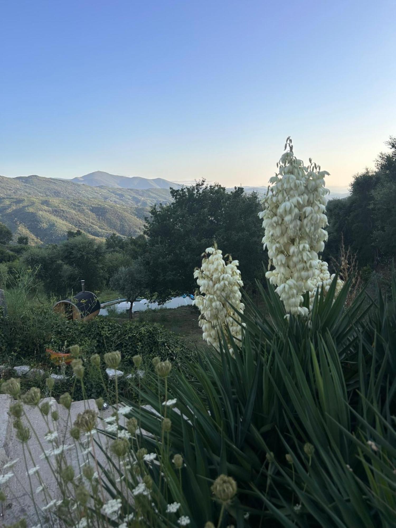 Villa Monkey Tiny Barnhouse With Amazing Views! Folhadosa Exterior foto