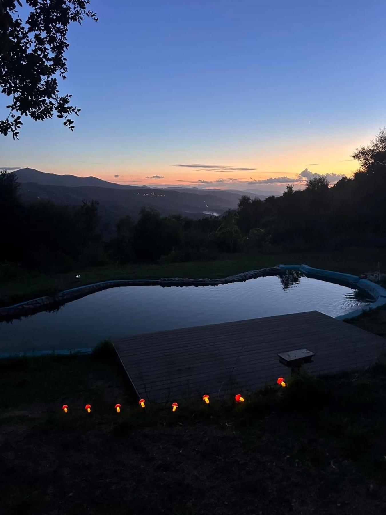 Villa Monkey Tiny Barnhouse With Amazing Views! Folhadosa Exterior foto